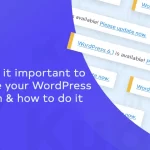 Why is it Important to Update Your WordPress Site