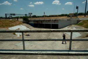 brenda-bazan-san-antonio-heat-3-scaled