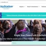 How To Make a Wordpress Website 2024